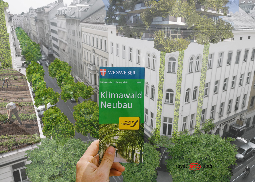 STC_Klimawald-Neubau-2047_Collage